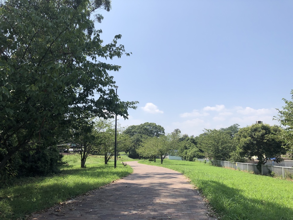 東京ゲートブリッジ〜夢の島の写真13