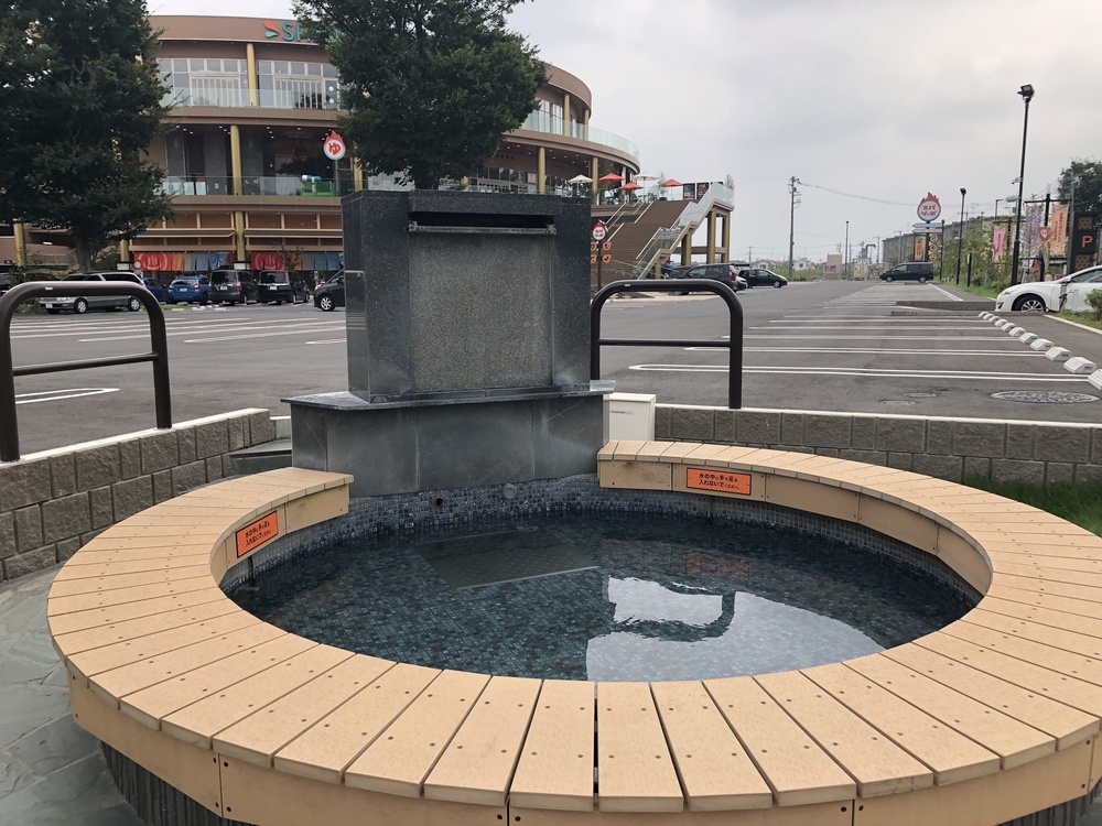 清瀬のヒマワリ〜東久留米の湧水散策ランの写真8