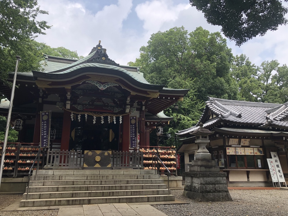 清瀬のヒマワリ〜東久留米の湧水散策ランの写真12