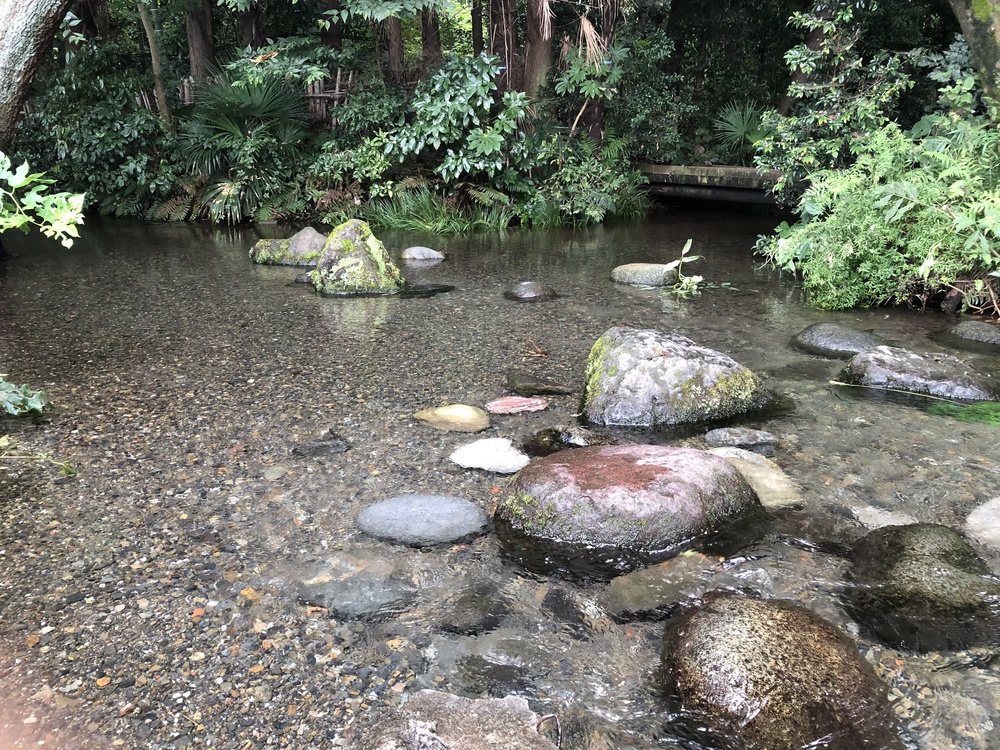 清瀬のヒマワリ〜東久留米の湧水散策ランの写真13
