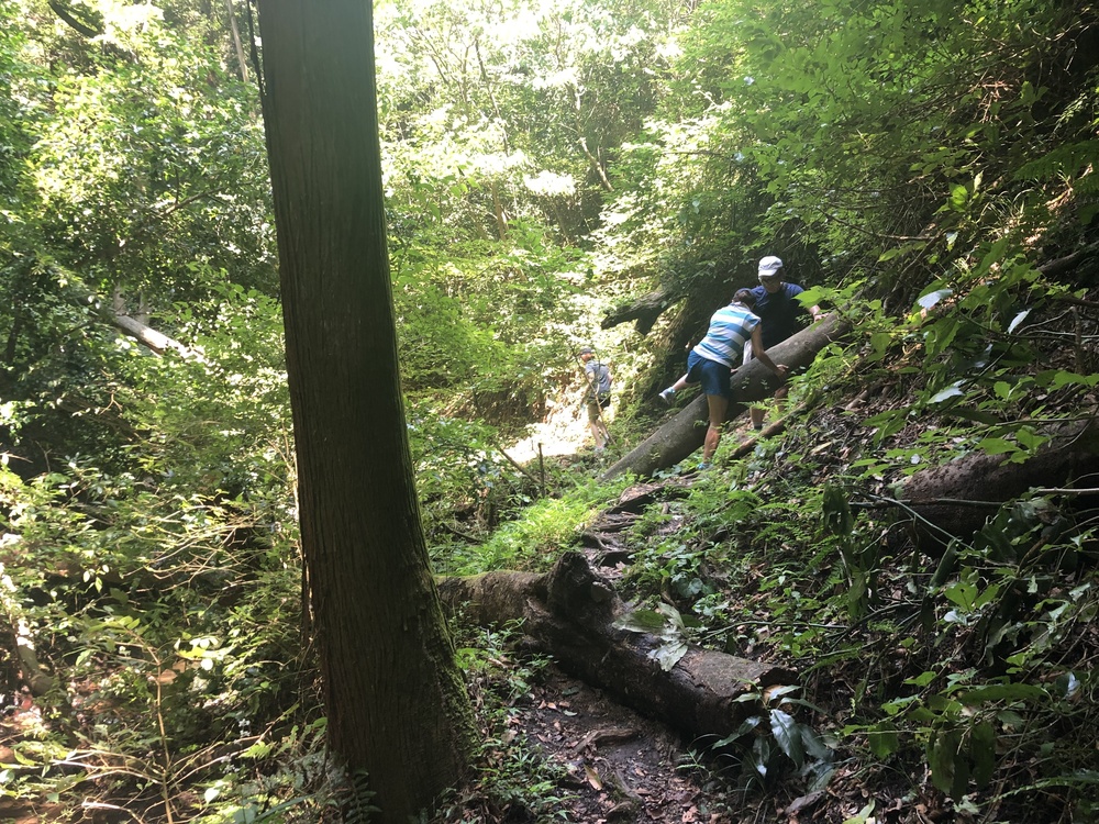 逗子トレイル 長柄古墳～森戸川～二子山の写真3