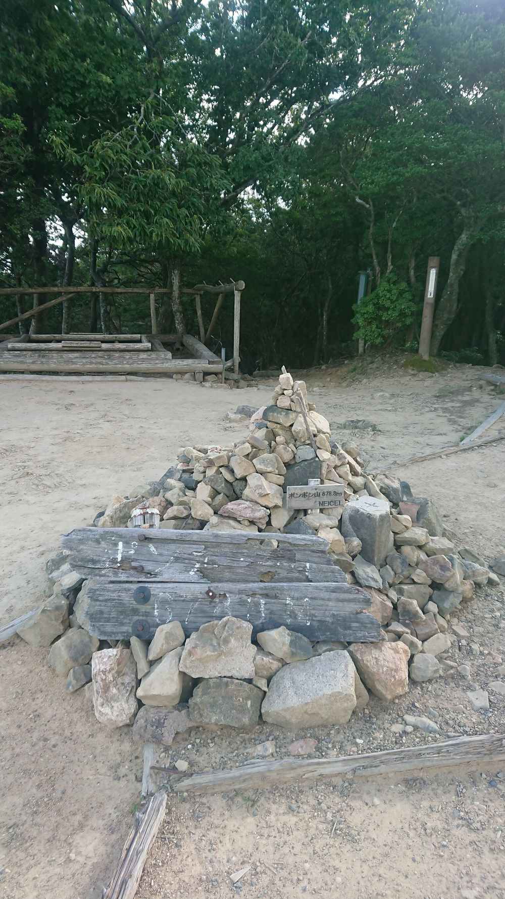 はじめてのポンポン山トレイルの写真4