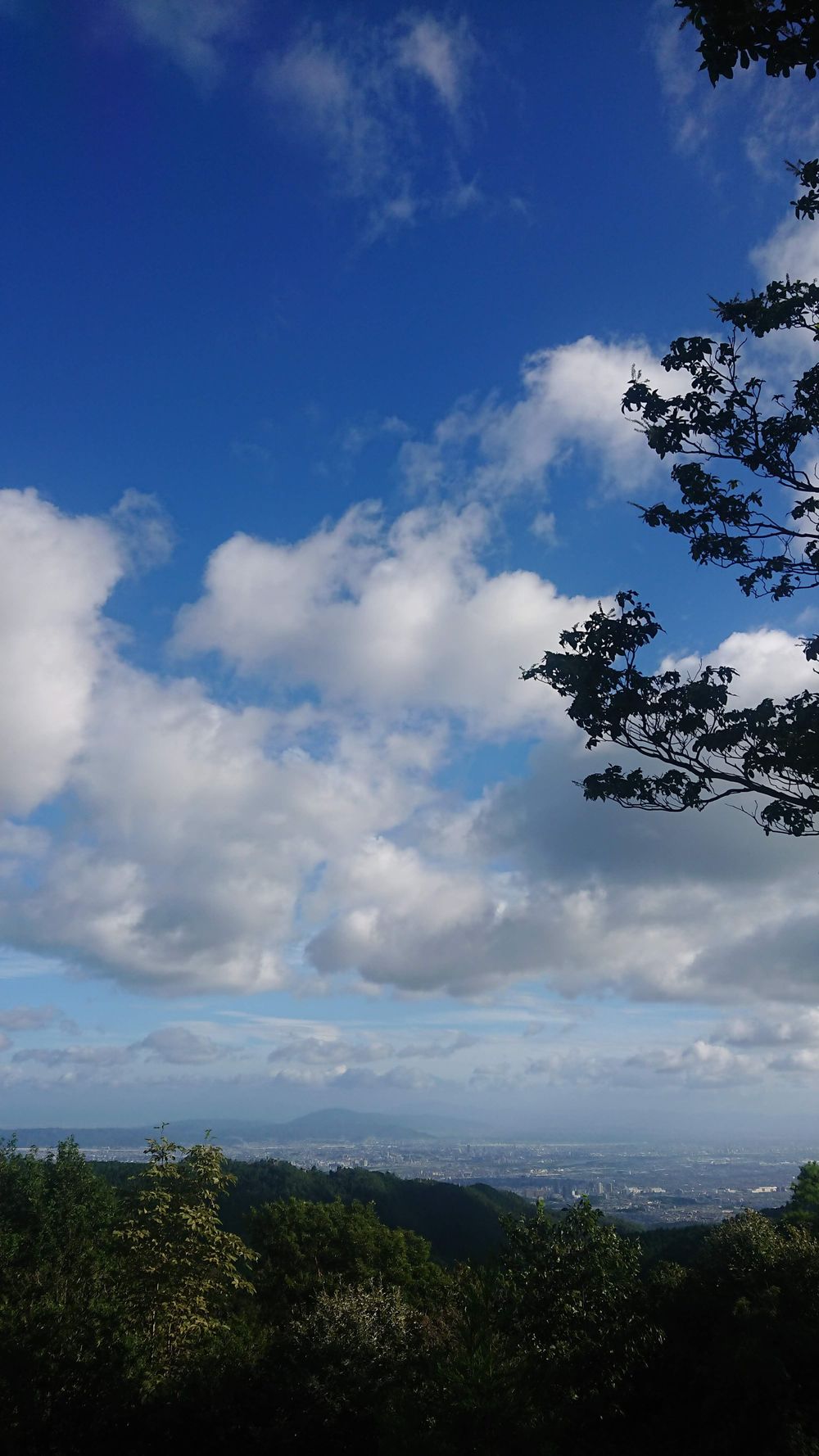 はじめてのポンポン山トレイルの写真5