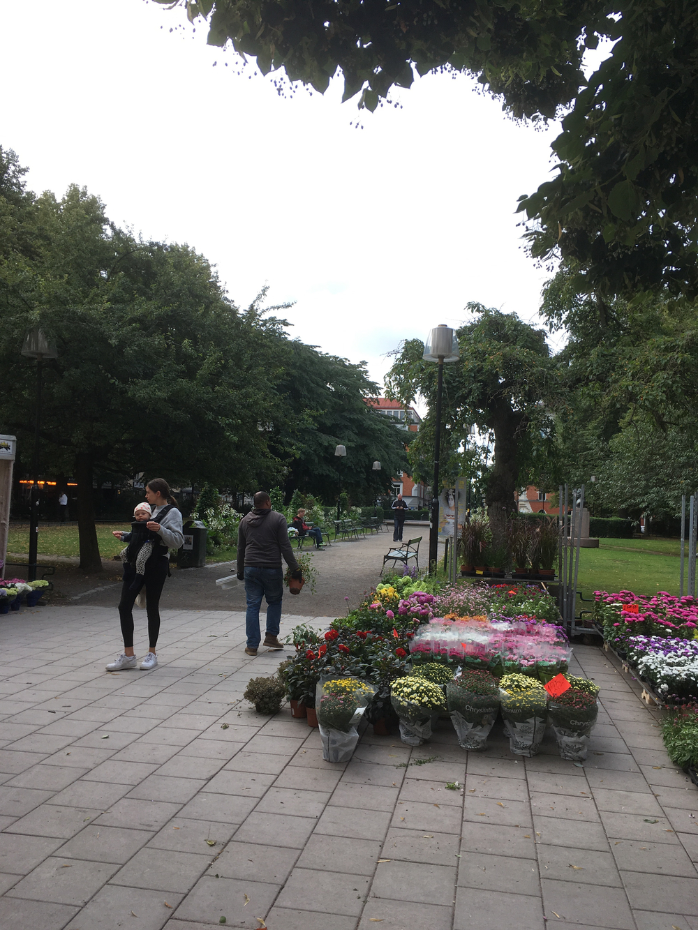 ストックホルム新・旧市街地周遊ランの写真5