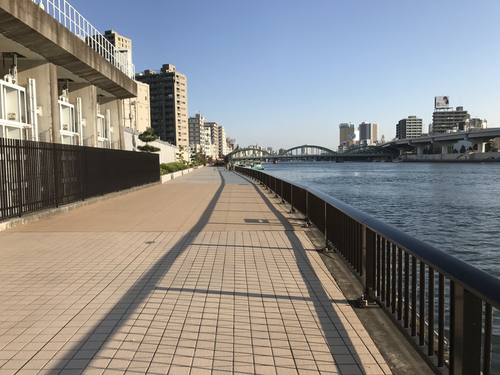 隅田川〜隅田公園往復の写真3