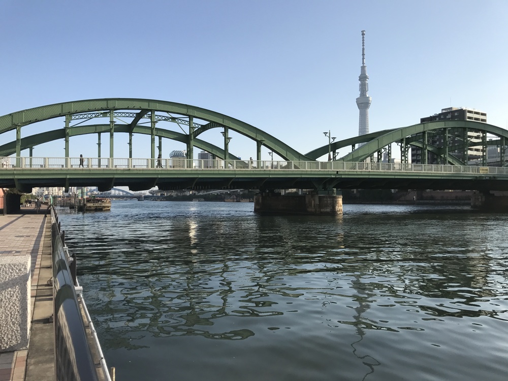 隅田川〜隅田公園往復の写真4