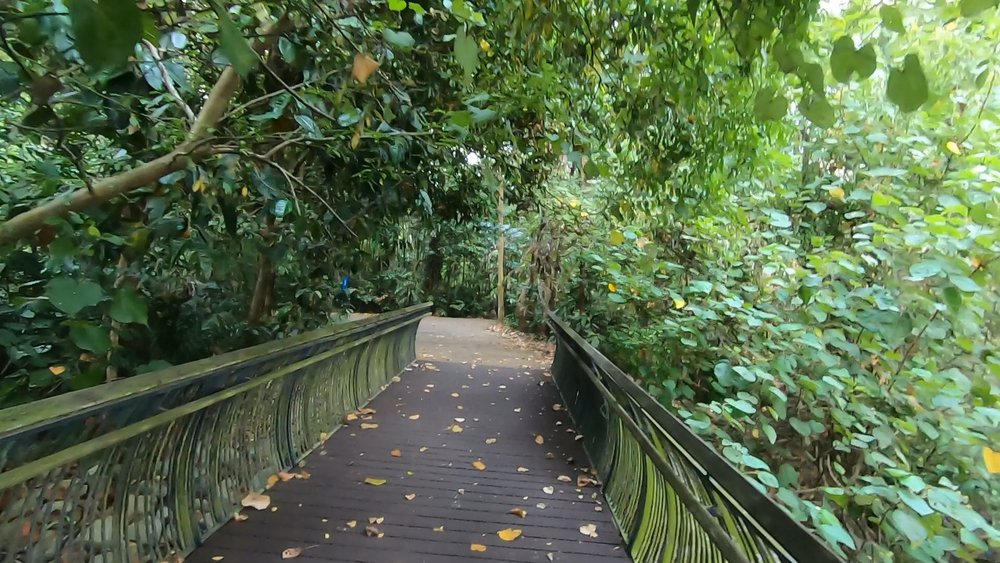 シンガポール外周Part４の写真12