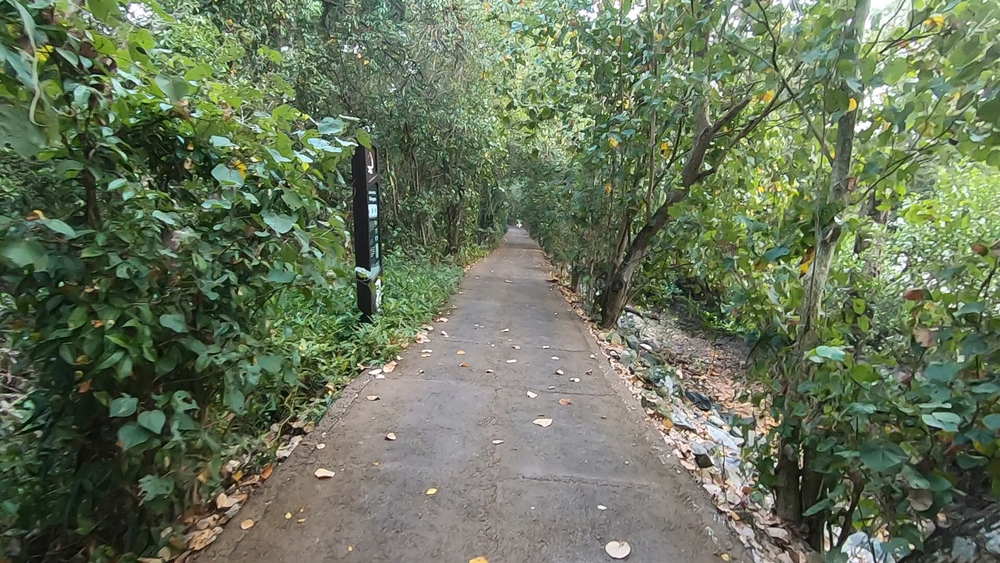 シンガポール外周Part４の写真13