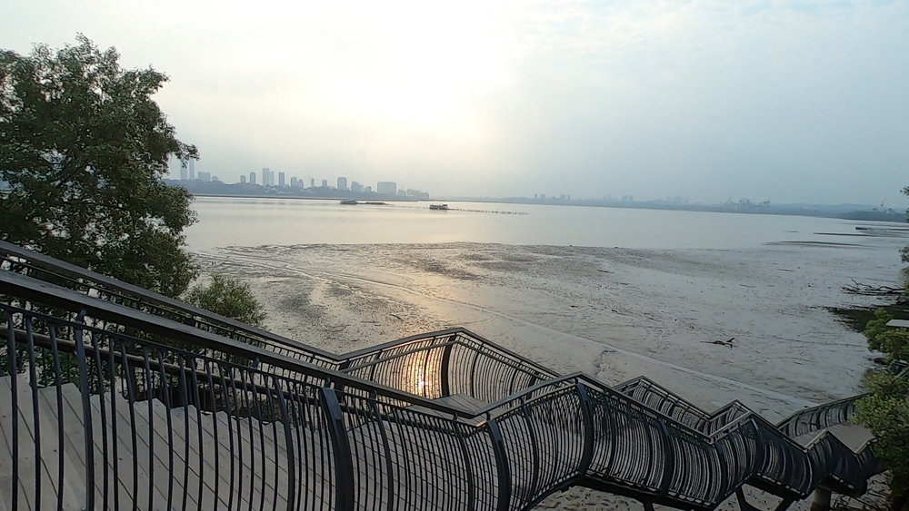 シンガポール外周Part４の写真15