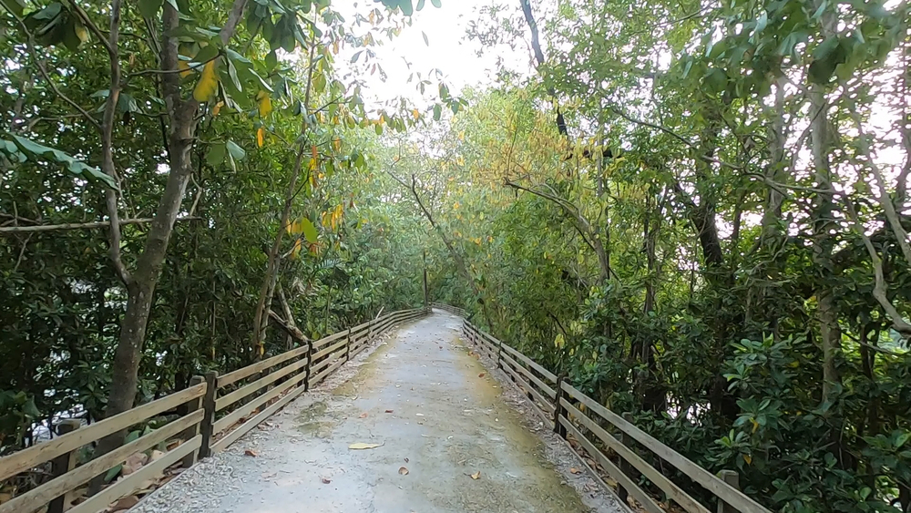 シンガポール外周Part４の写真18