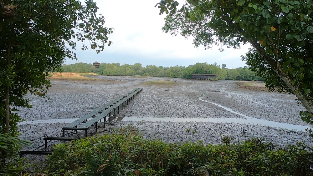 シンガポール外周Part４の写真19