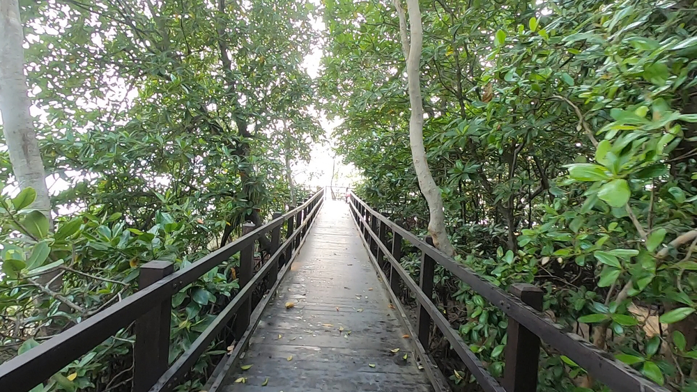 シンガポール外周Part４の写真20