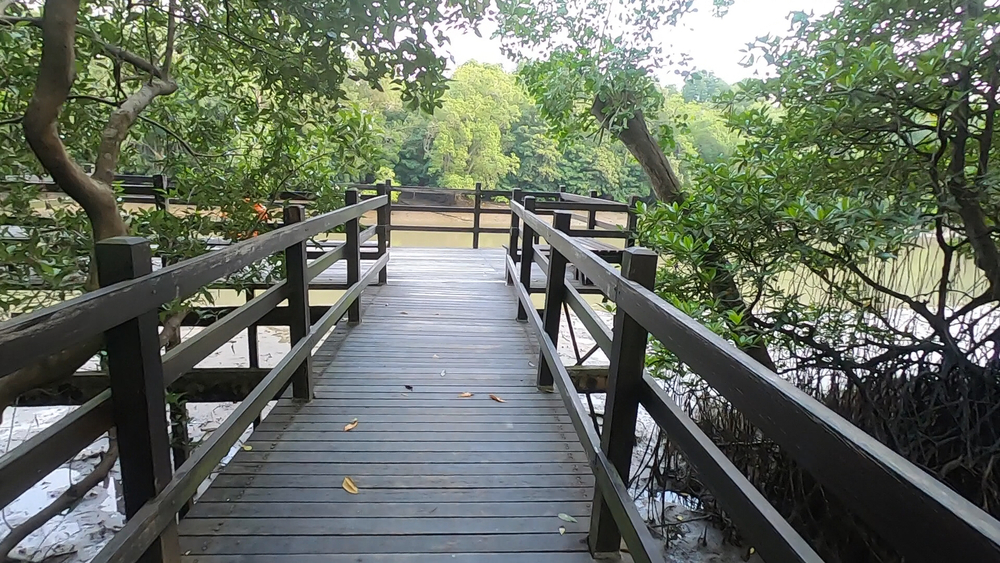 シンガポール外周Part４の写真21