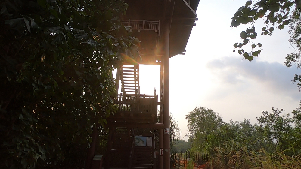 シンガポール外周Part４の写真23