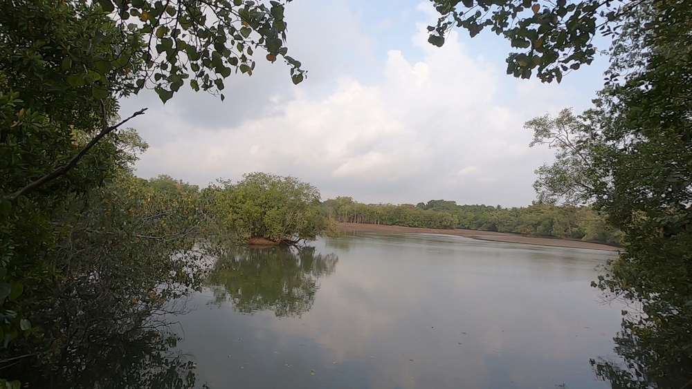 シンガポール外周Part４の写真25