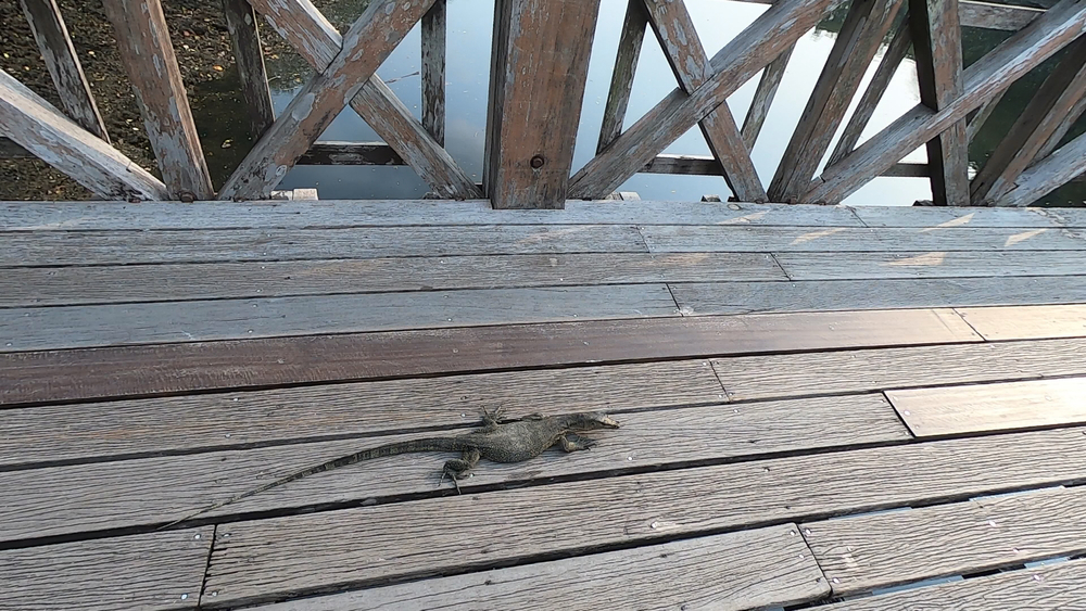 シンガポール外周Part４の写真26