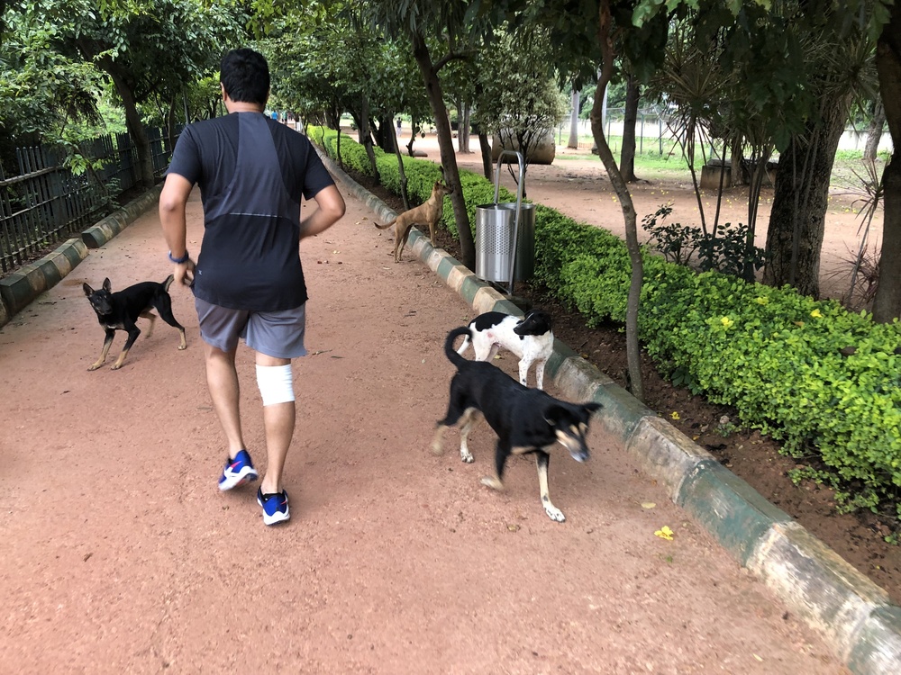 バンガロールランPart3の写真5