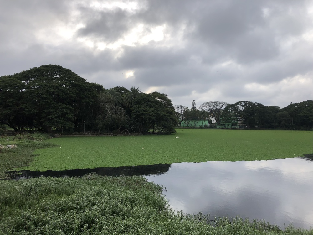 バンガロールランPart3の写真11