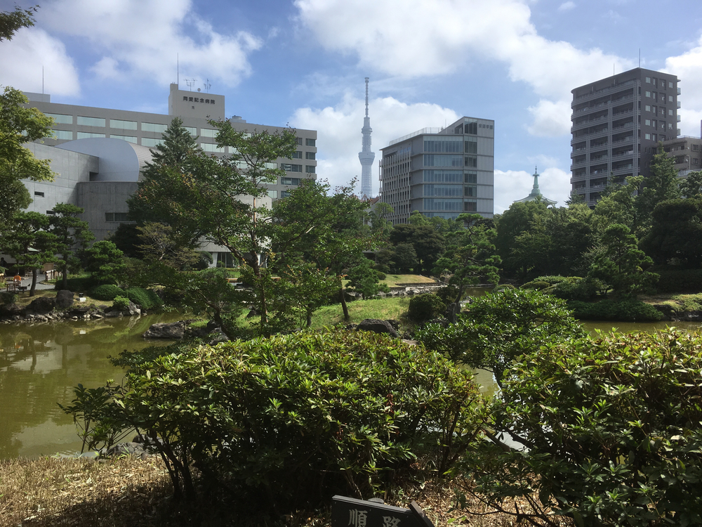 大相撲の街、両国周辺をグルリと一周の写真12