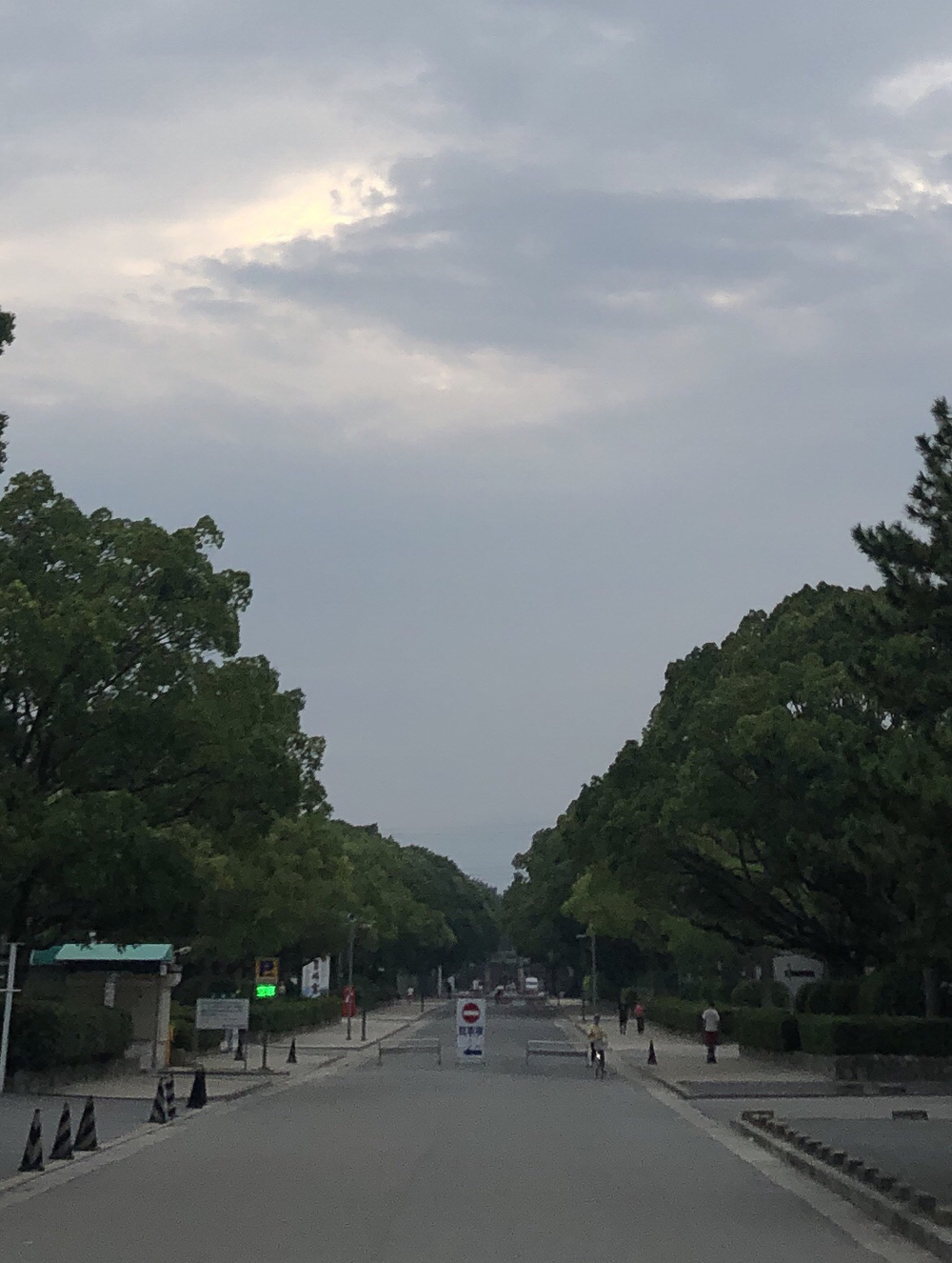 福岡市内 街めぐりランの写真7