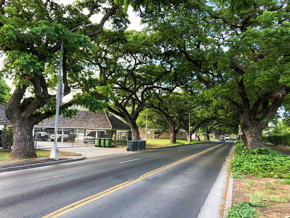 east Waikiki runの写真5