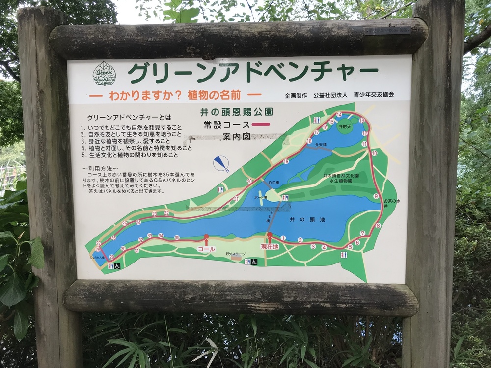 東京・神田川上流 季節を感じながらゆったりと(18km)の写真4