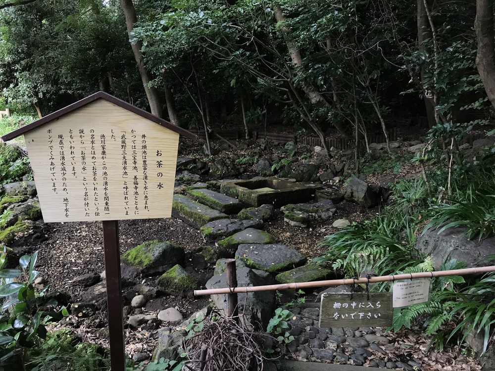 東京・神田川上流 季節を感じながらゆったりと(18km)の写真6