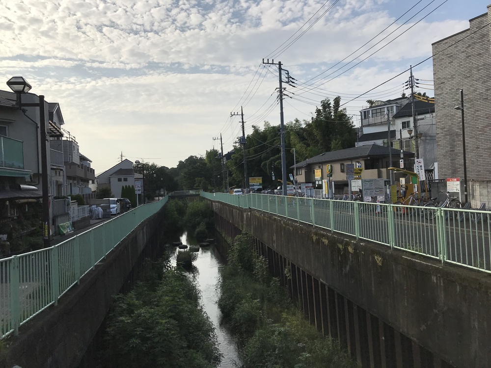 東京・神田川上流 季節を感じながらゆったりと(18km)の写真9