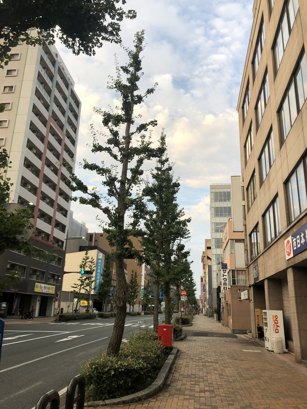 北九州市中心部ランの写真3