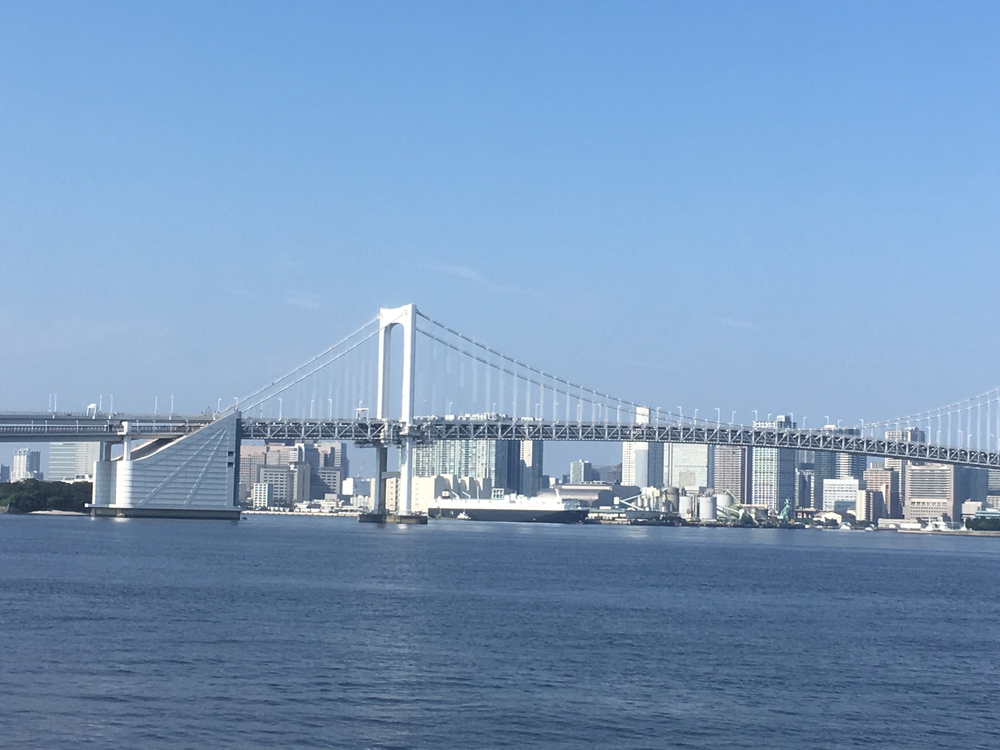 レインボーブリッジ20キロコースの写真3