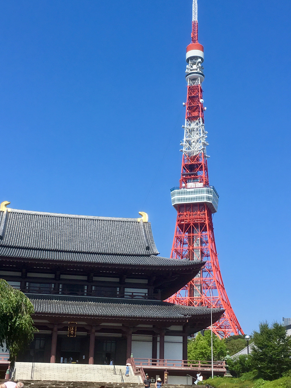 レインボーブリッジ20キロコースの写真6