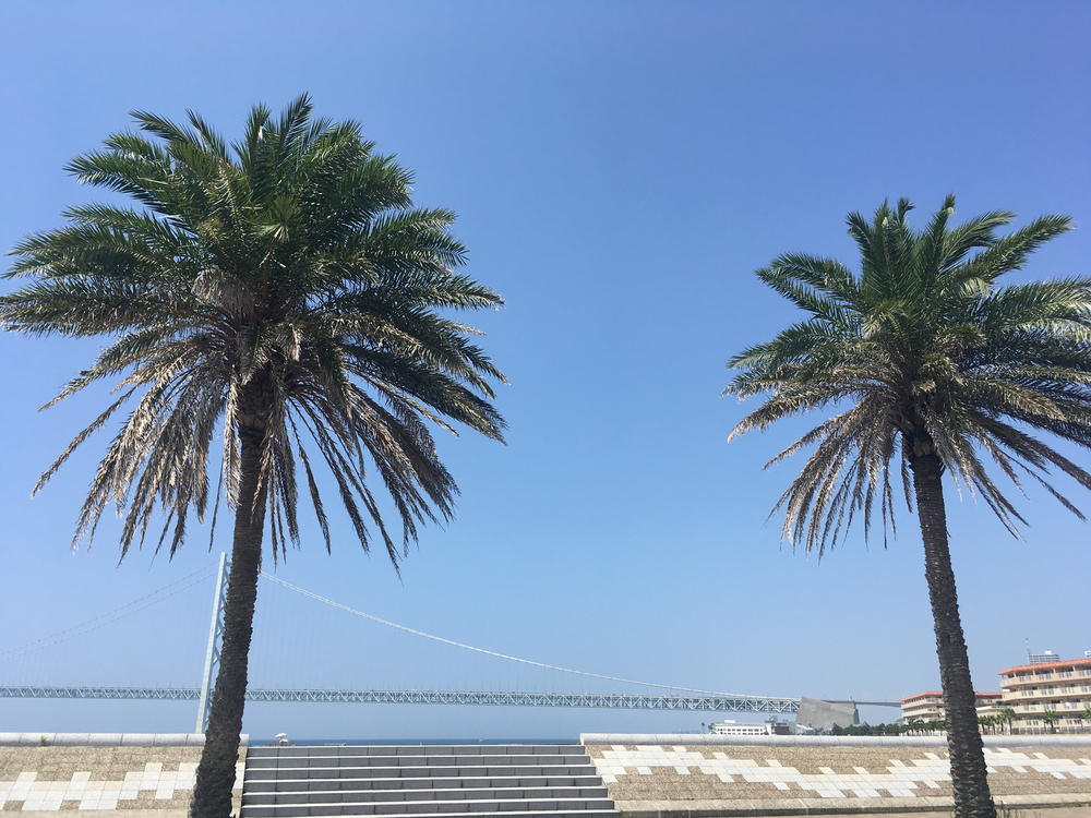 明石海峡大橋〜須磨2号線🏖ハーフ21km🏃‍♂️の写真7