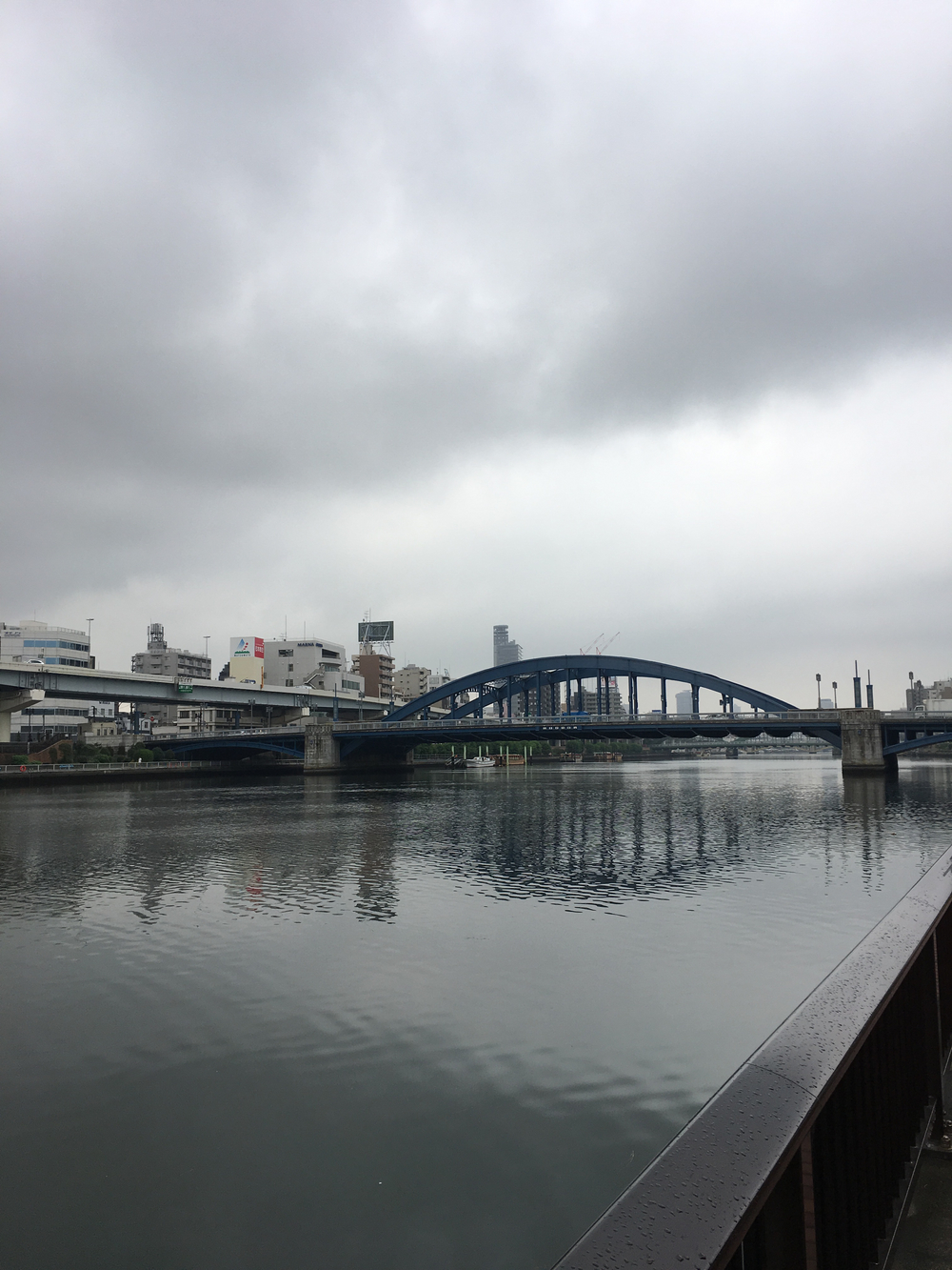 浅草 隅田川１０キロランニングコースの写真4