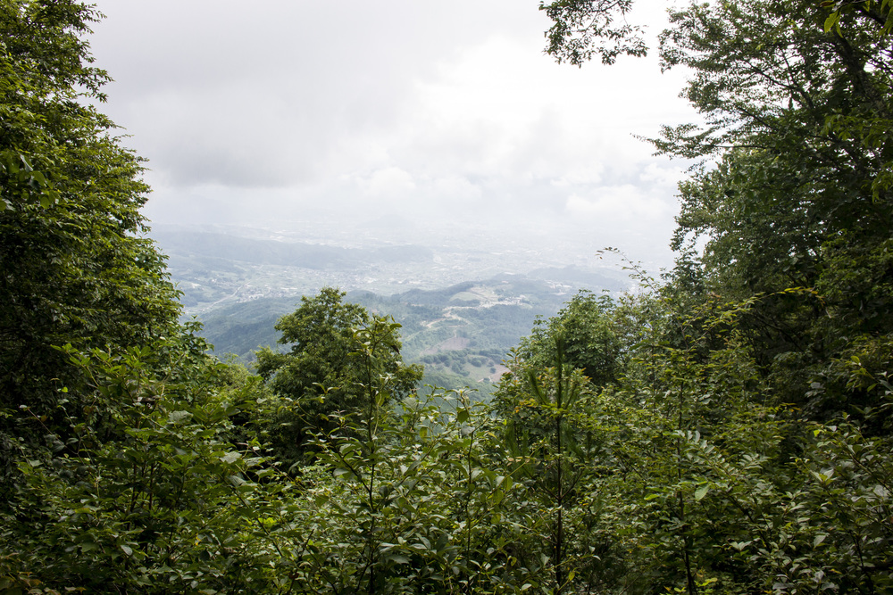 棚山・ほったらかし温泉より往復の写真4