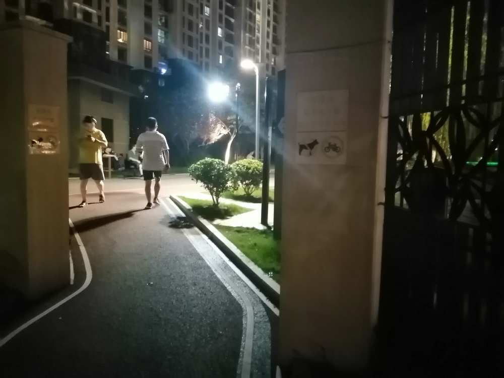 上海ラン完成版の写真3