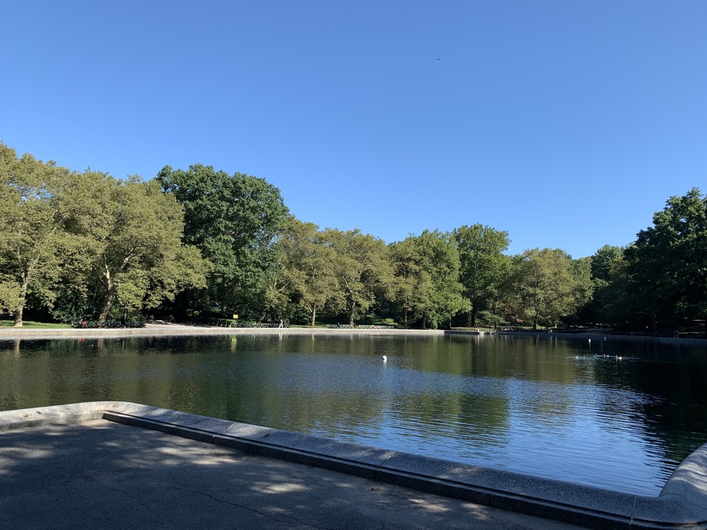 セントラルパークをランニング初心者が走ってみたの写真3