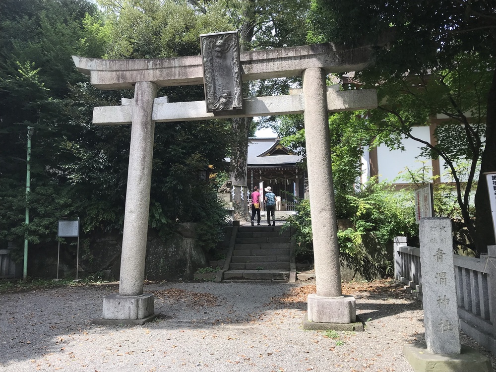 吉祥寺ハーフ 深大寺-味スタを巡る丘陵コースの写真7