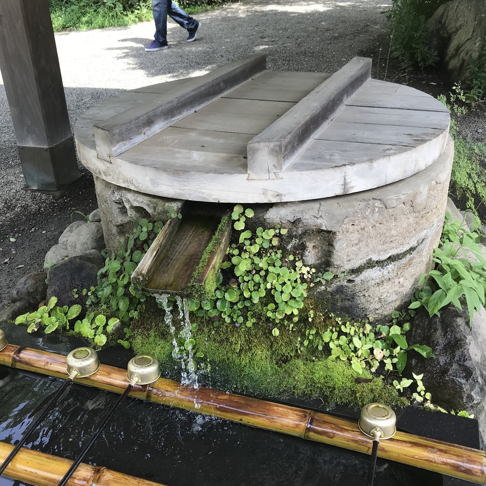 吉祥寺ハーフ 深大寺-味スタを巡る丘陵コースの写真10