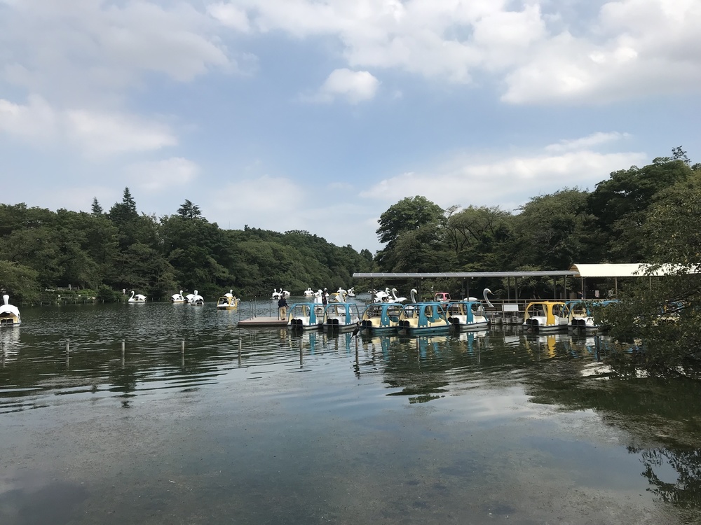 吉祥寺ハーフ 深大寺-味スタを巡る丘陵コースの写真17