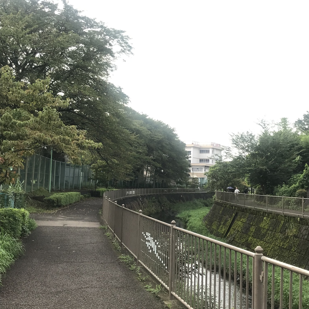 鶴川駅起点の川沿い30キロの写真4