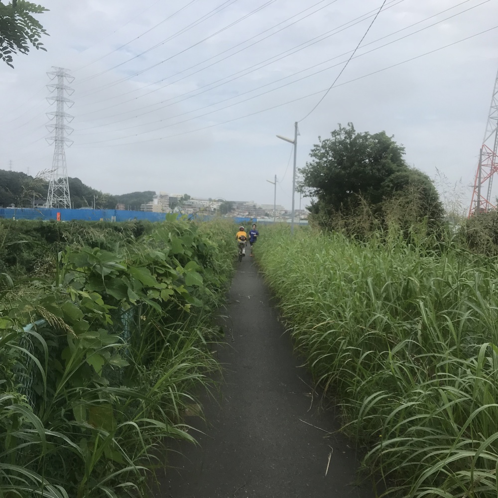 鶴川駅起点の川沿い30キロの写真5