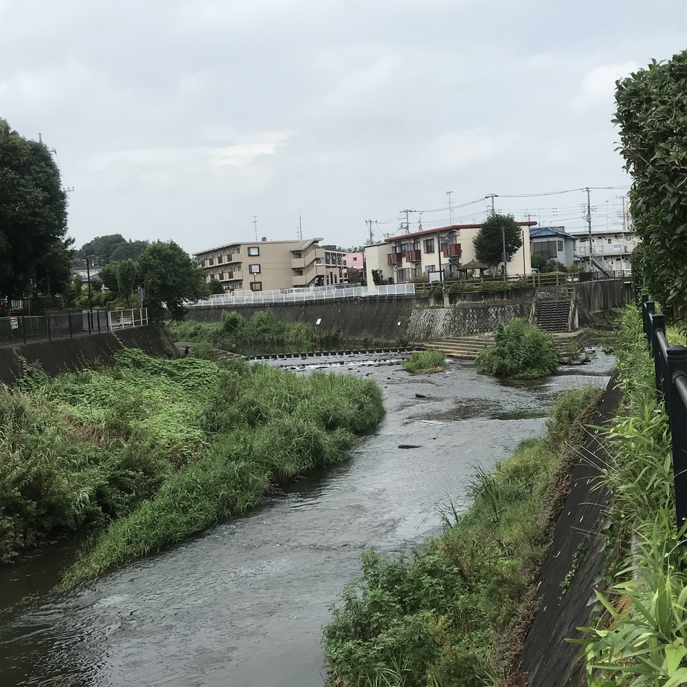 鶴川駅起点の川沿い30キロの写真7