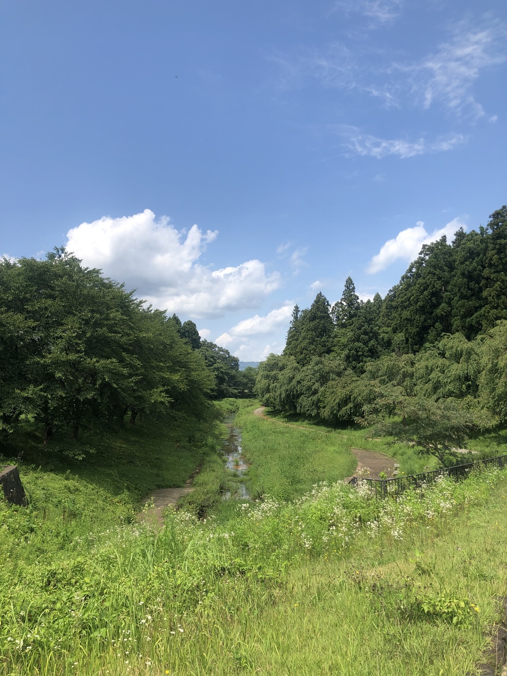 大曲ラン！の写真5