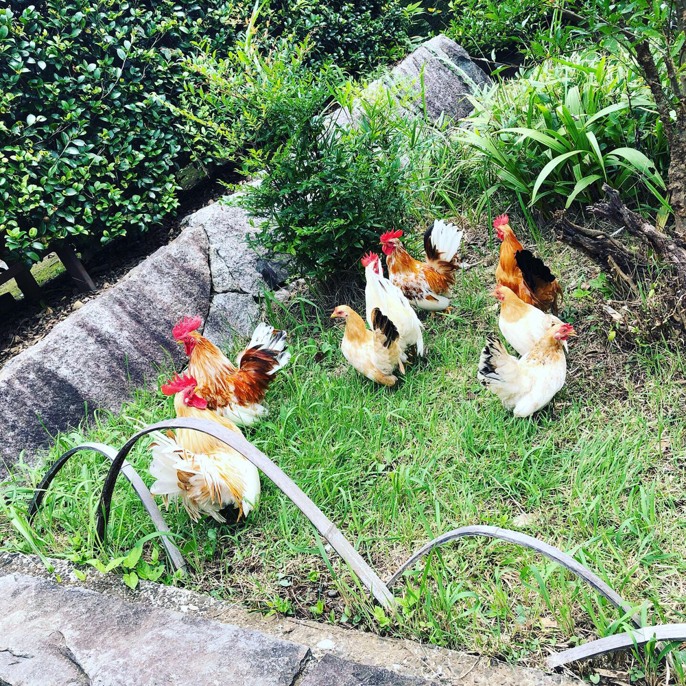 クロスカントリーコースの写真3