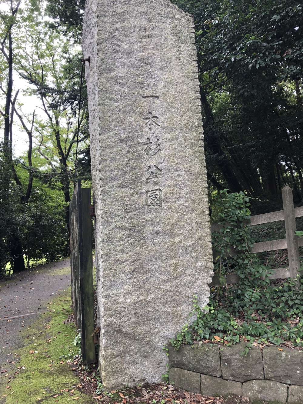 クロスカントリーコースの写真4