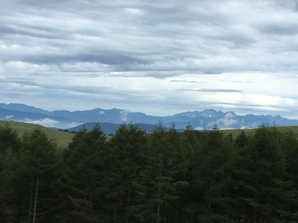 片道 9km で標高差 400m の一本調子の上り坂です。の写真7