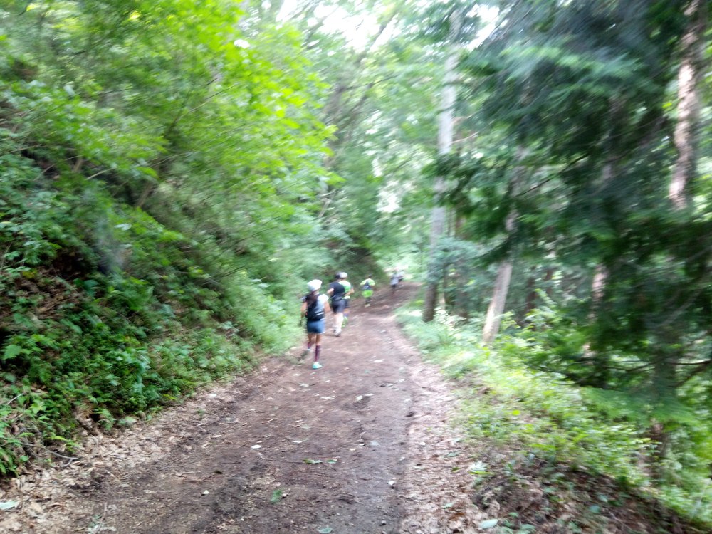 赤城の森トレイルランの写真4
