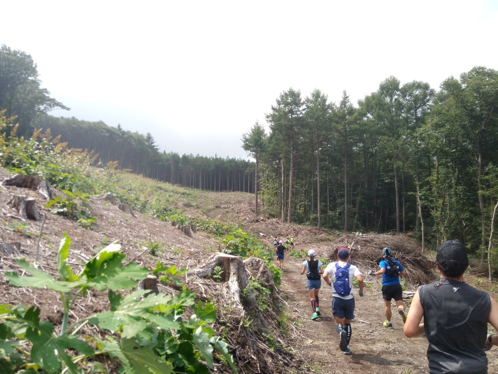 赤城の森トレイルランの写真5