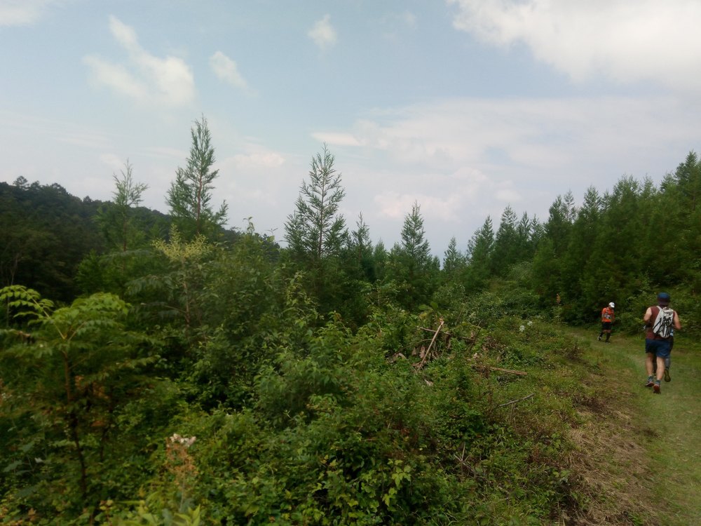 赤城の森トレイルランの写真8