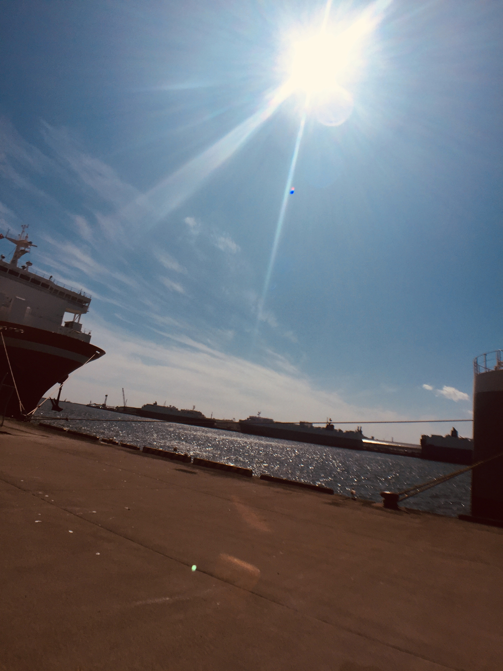 とまこまい seaside run × Seafood gourmetの写真9